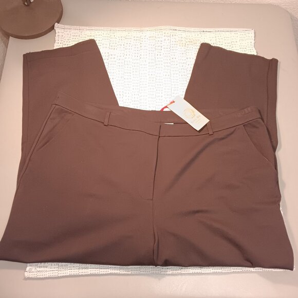 Ruby Rd. women's plus size brown flat front dress pants sz 22W - READ! - Picture 1 of 10